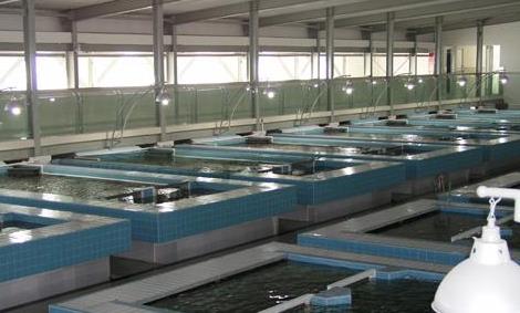 水产养殖仪表的功能特点和优势(图1) 水产养殖仪表的功能特点和优势(图1)