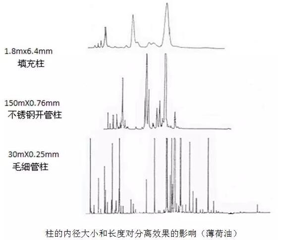 如何选择合适的色谱柱？(图1)