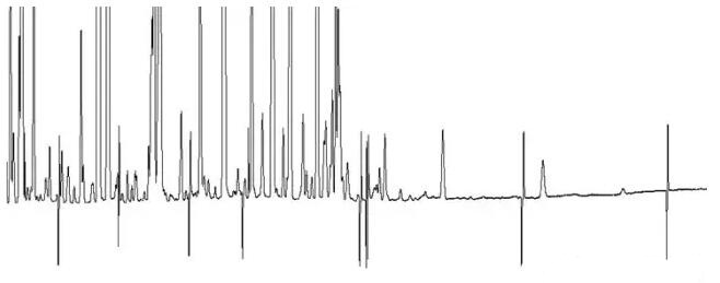 气相色谱仪带氢火焰离子检测器基线双向毛刺故障解读(图1)