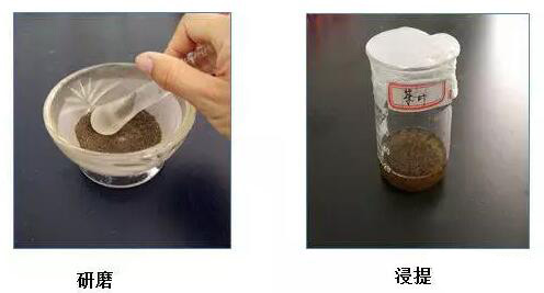 如何检测茶叶中的氟离子含量