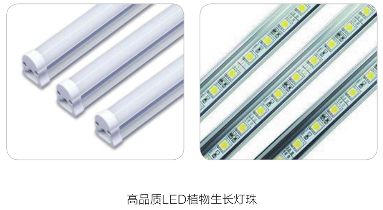 上海一恒LED光源光照培养箱系列产品介绍(图5)