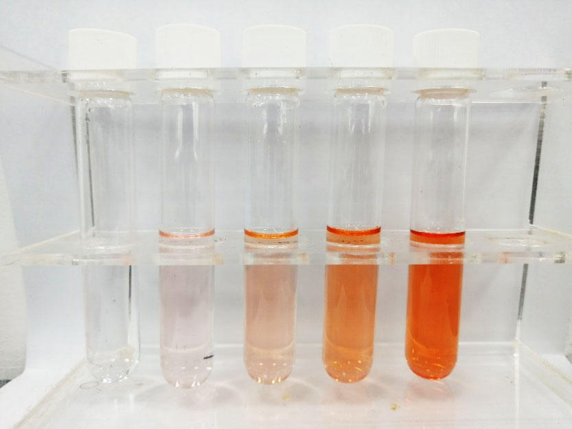 用多参数水质分析仪测量水中铁的含量详细方法如下(图4)